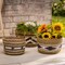 Contemporary Home Living Round Woven Storage Baskets - 11.5" - Set of 3